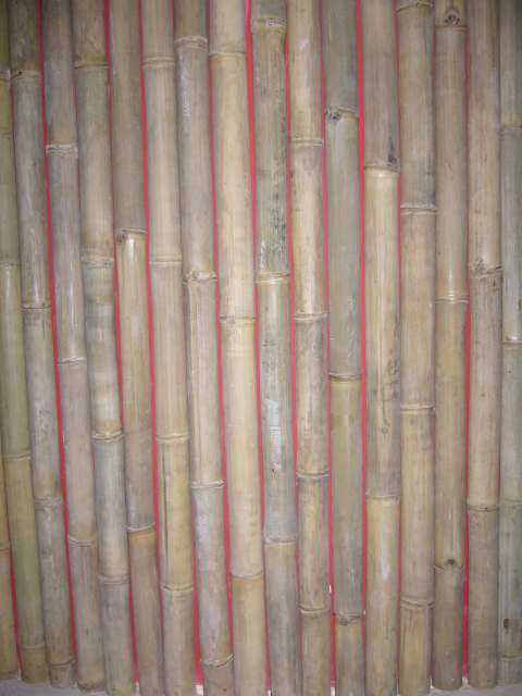 a falat körbevonjuk hogy mindenhol fedje a bambusz