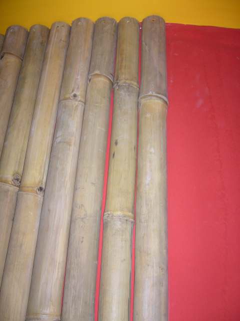 Hézag a bambuszok közt